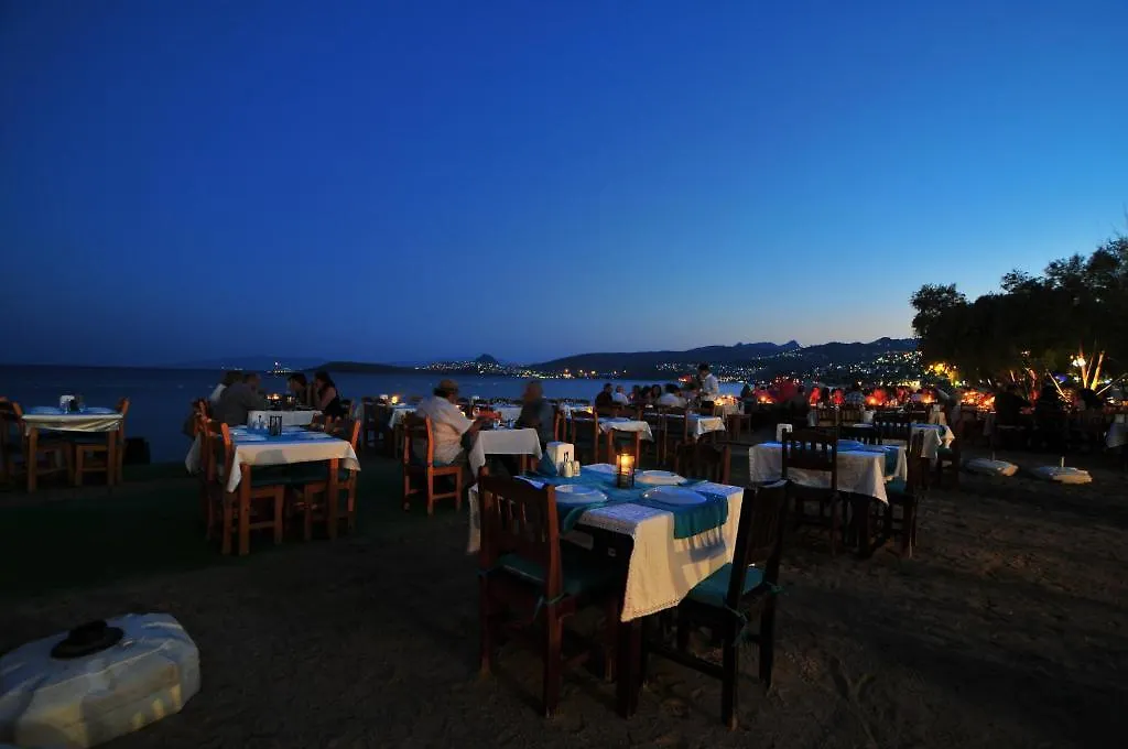 Manolya Hotel Ortakent